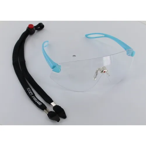 HOGIES BESCHERMBRIL EYEGUARD CLEAR FRAME LIGHT BLUE NEG013