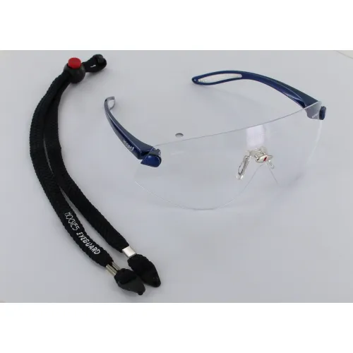 HOGIES BESCHERMBRIL EYEGUARD CLEAR FRAME METALLIC BLUE NEG002