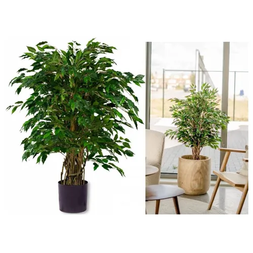 EASYPLANTS KUNSTPLANT FICUS LIANA 120cm