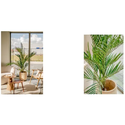 EASYPLANTS KUNSTPLANT ARECA 150cm