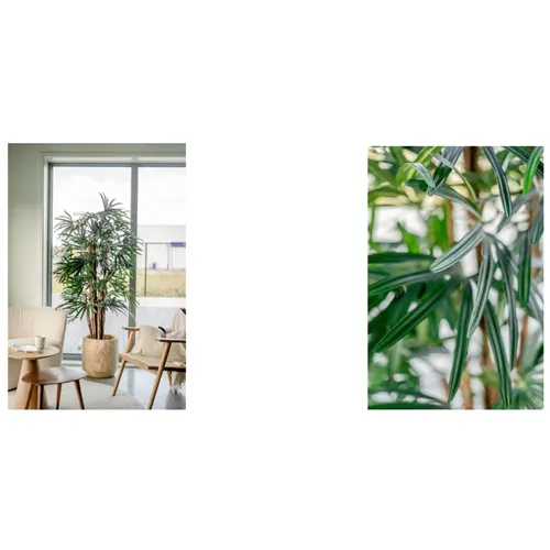 EASYPLANTS KUNSTPLANT LADY PALM 180cm