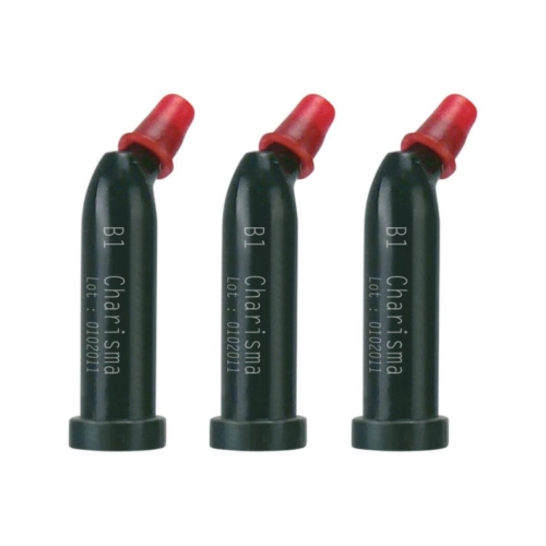 KULZER CHARISMA-PLT COMPOSIET CAPSULES B1 (20x0,25gr)