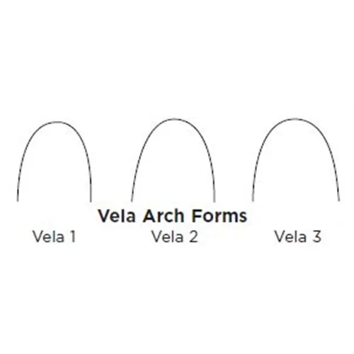 TP ORTHODONTICS SHINY BRIGHT SS VELA FORM 2 .019X.025 (10st)