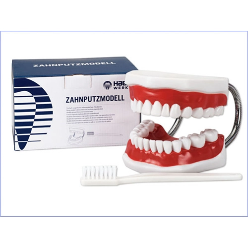 HAGER&WERKEN POETSMODEL MET SUPER TOOTHBRUSH