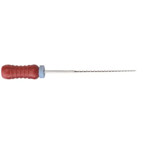 LEGACY ENDO K-VIJLEN 31mm .02 NR. 25 ROOD (6st)