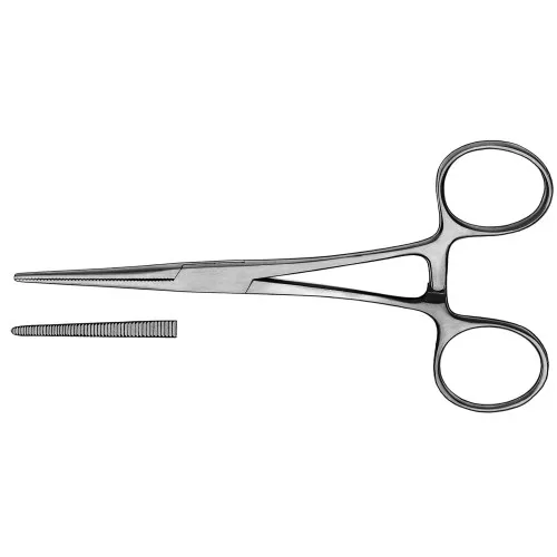 CARL MARTIN ADERKLEM RECHT 14cm NR.1895