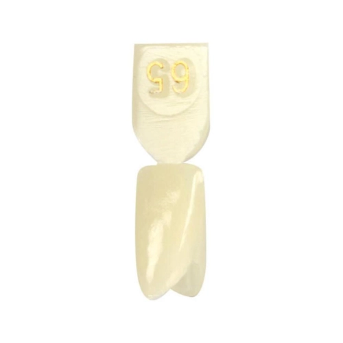 DIRECTA NOODKRONEN NR. 65 (5st)