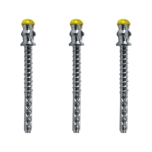 WHALEDENT PARAPOST XT STIFTEN P684-0 GOUD (10st)