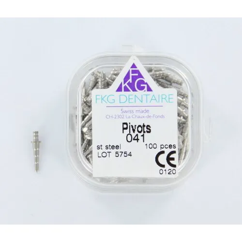 FKG RVS WORTELKANAALSTIFT NR.41 (100st)
