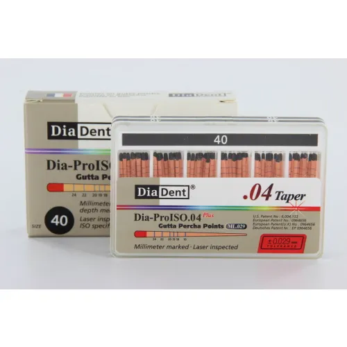 DIADENT GUTTA PERCHA POINTS .04 NR.40 ZWART (60st)