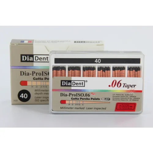 DIADENT GUTTA PERCHA POINTS .06 NR.40 ZWART (60st)