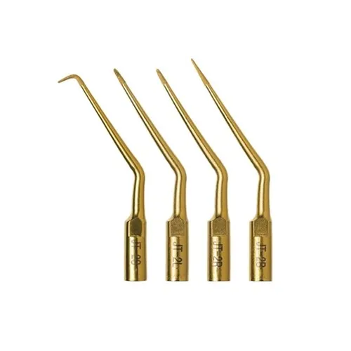 B&L SURGICAL TIP SET APICO (5st)  1 JT2S, 1 JT2L, 1 JT2R, 2 JT2B en JIG REF JT2-FA (ACTEON)
