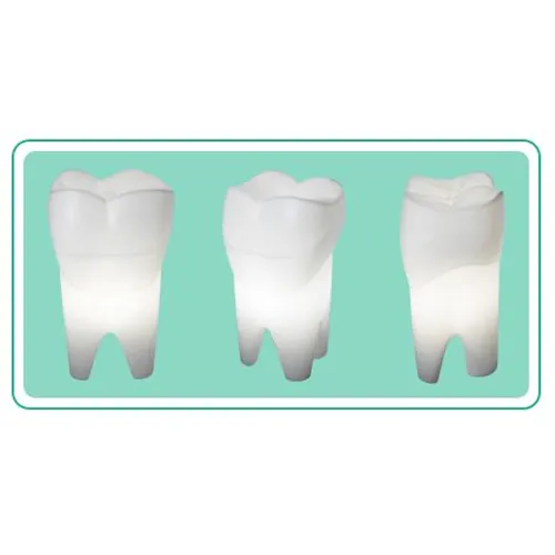 MEET MONE MOLAR1 LAMP WIT